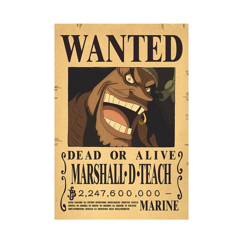 Poster Barbe Noire Wanted – One Piece