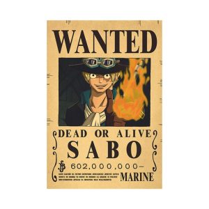 Poster Ace Wanted – One Piece