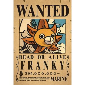 Poster Brook Wanted 2 – One Piece