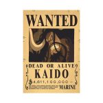 Poster Lot Empereur – Wanted One Piece