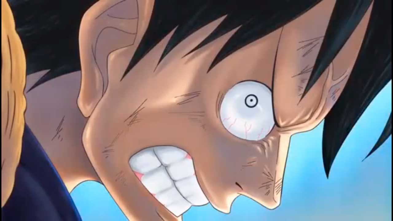 Couverture de l'anime One Piece Luffy Raiva