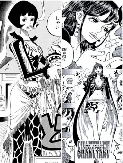 Qui est Shakuyaku de l’archipel Sabaody dans One Piece ? image 16